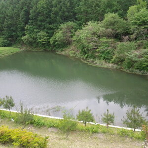 크기변환_IMG_20110522_114256.jpg