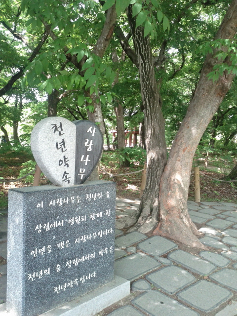 크기변환_IMG_20110522_101631.jpg