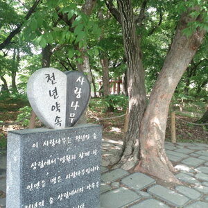 폰카는 아무리 좋아봤자 폰카일 뿐인듯...