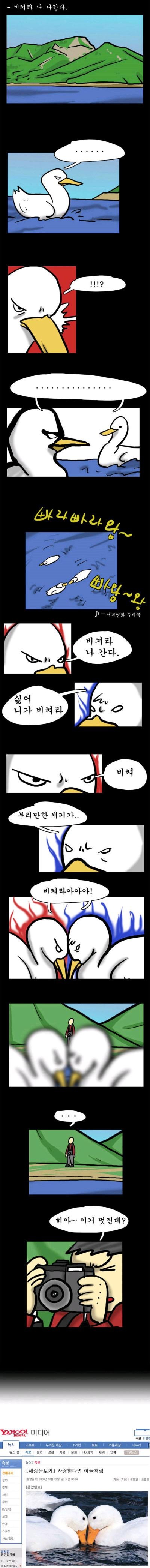 오리_1~1.JPG