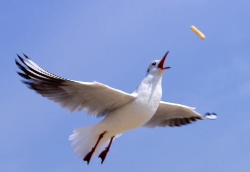 20120719_164302.jpg