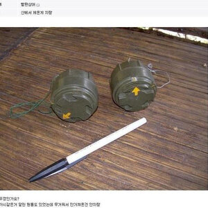 산에서 캐왔는데 이거 뭐임?