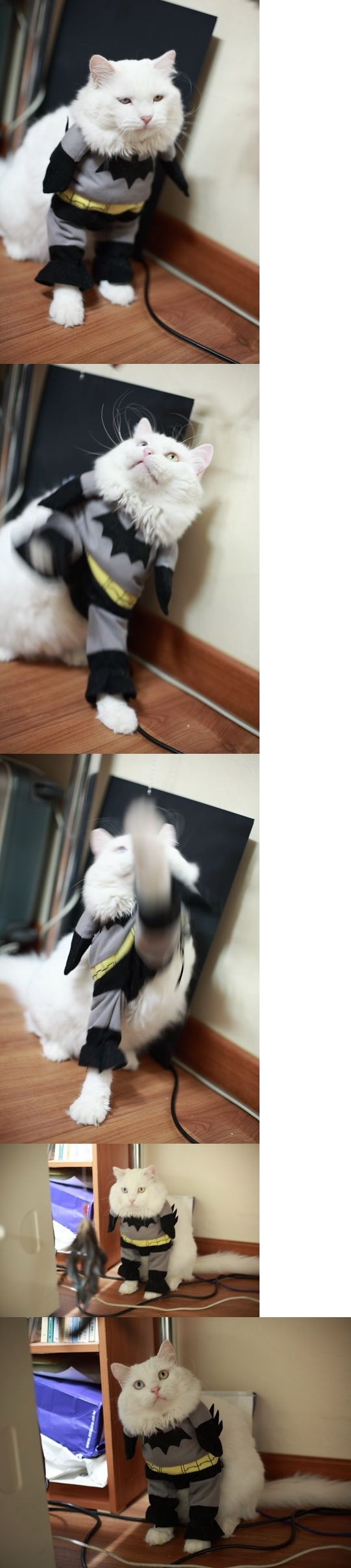 배트맨.jpg