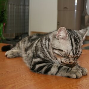 20050203_020.jpg