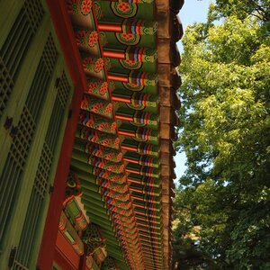 사진 004.jpg