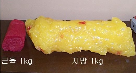 내뱃속에이것들이.jpg