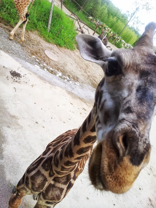 20130803_174321.jpg