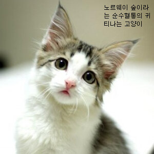 다들 줌세여?