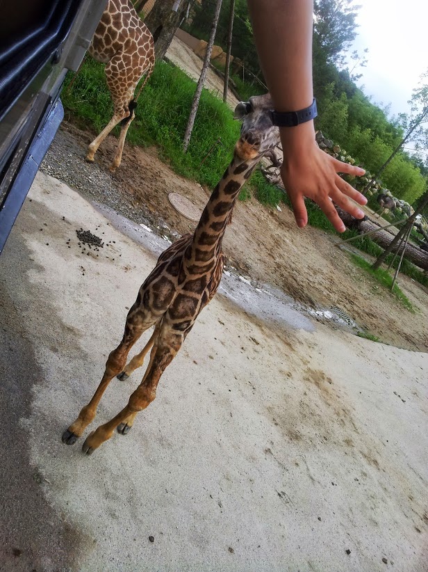 20130803_174259.jpg