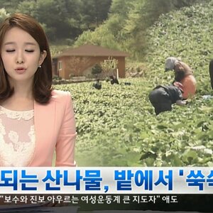 횽나 벙어리새끼 사진