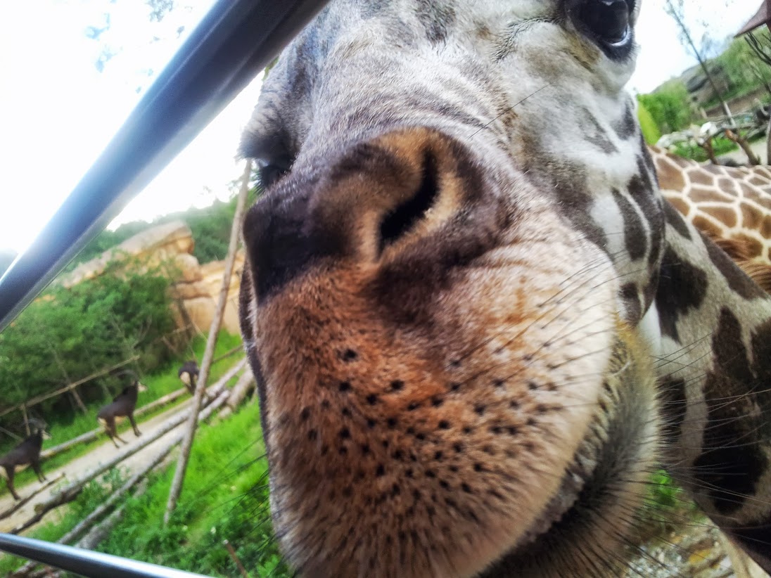 20130803_174354.jpg