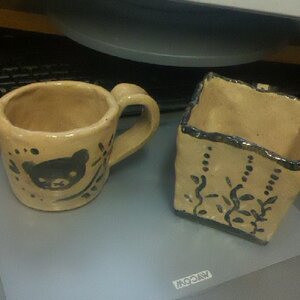 2011-01-06_15-05-29_906.jpg