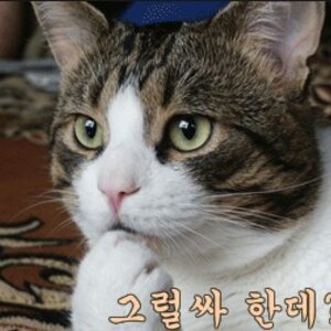 그럴싸한데.jpg