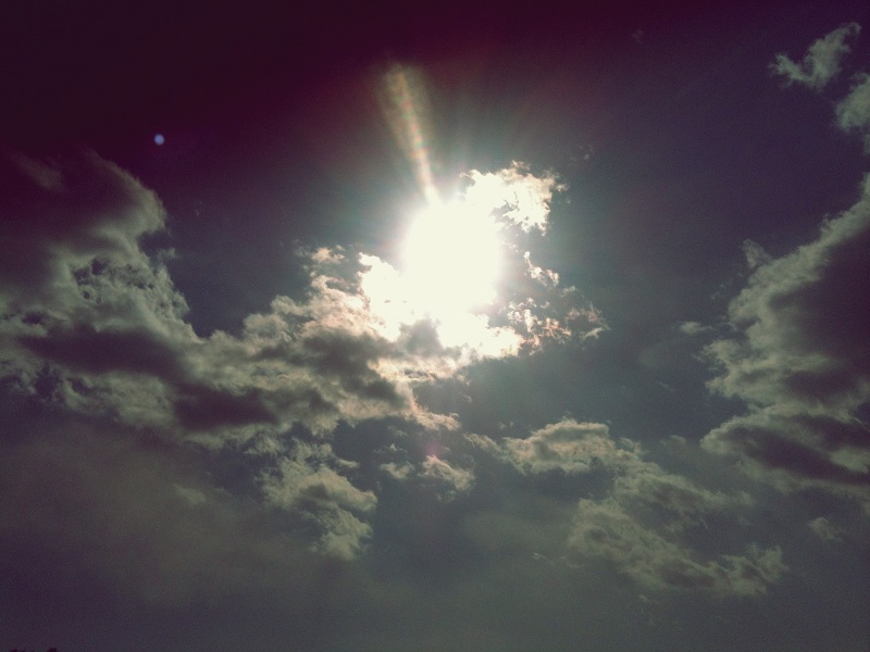 re_img_0015.JPG