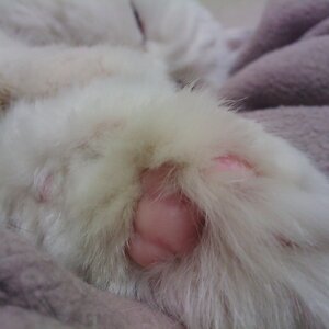 201001232049_004.jpg