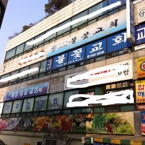 내 땅에 말이다.