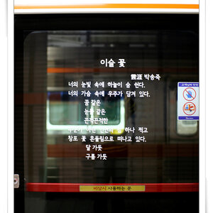 사백년의 꿈