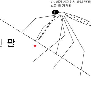 보이스피싱.jpg