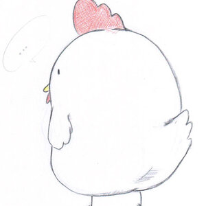 요즘 씐나 안옴?