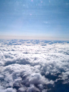 1249046189_004.jpg