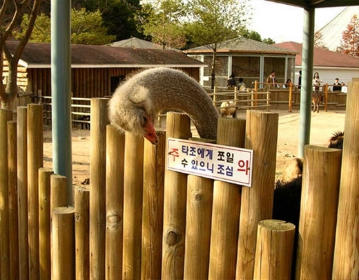 대체_~1.JPG