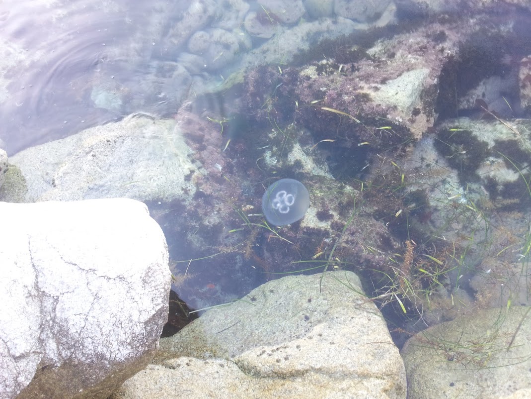 20120728_060138.jpg