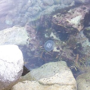 20120728_060138.jpg