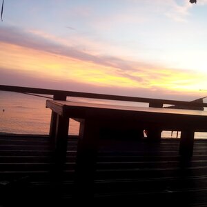 20120728_051133.jpg