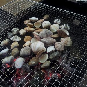 20120727_204025.jpg