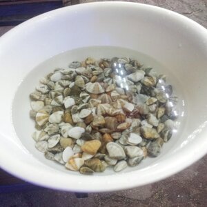20120727_204045.jpg