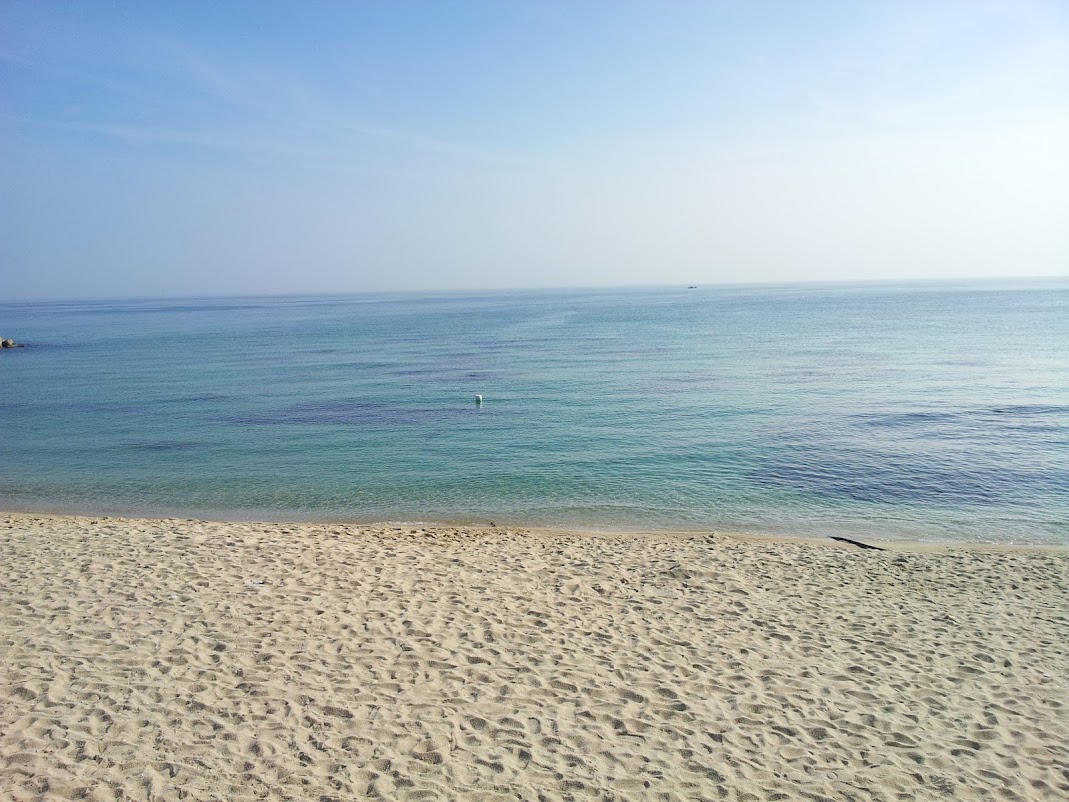 20120728_081945.jpg