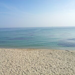 20120728_081945.jpg