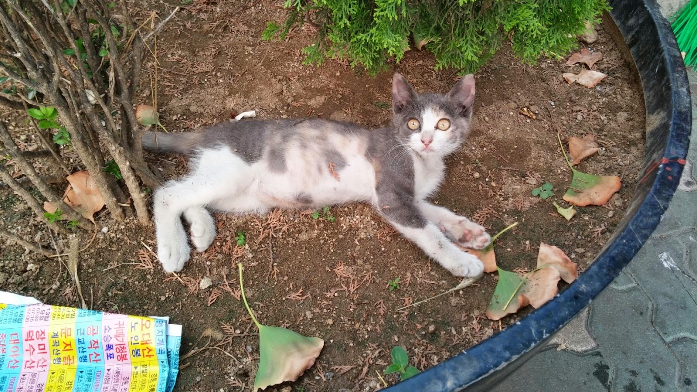 20140715_184742.jpg