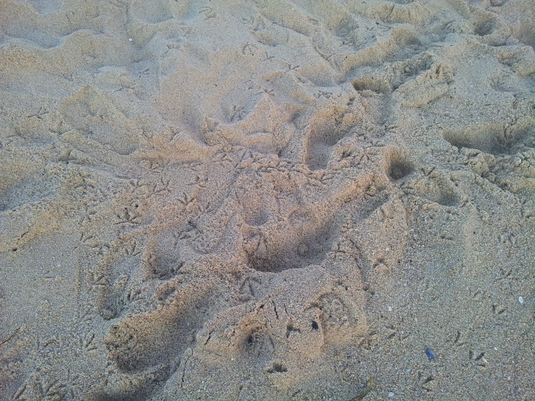 20120728_055445.jpg