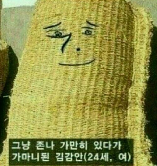 1352038992174.jpg