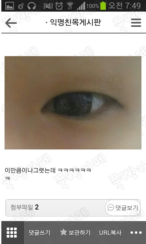 02.jpg