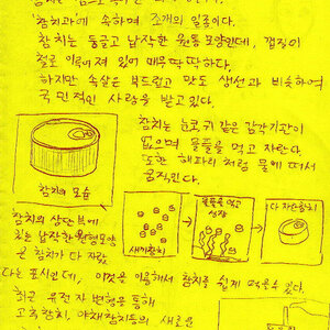 참치의 신비