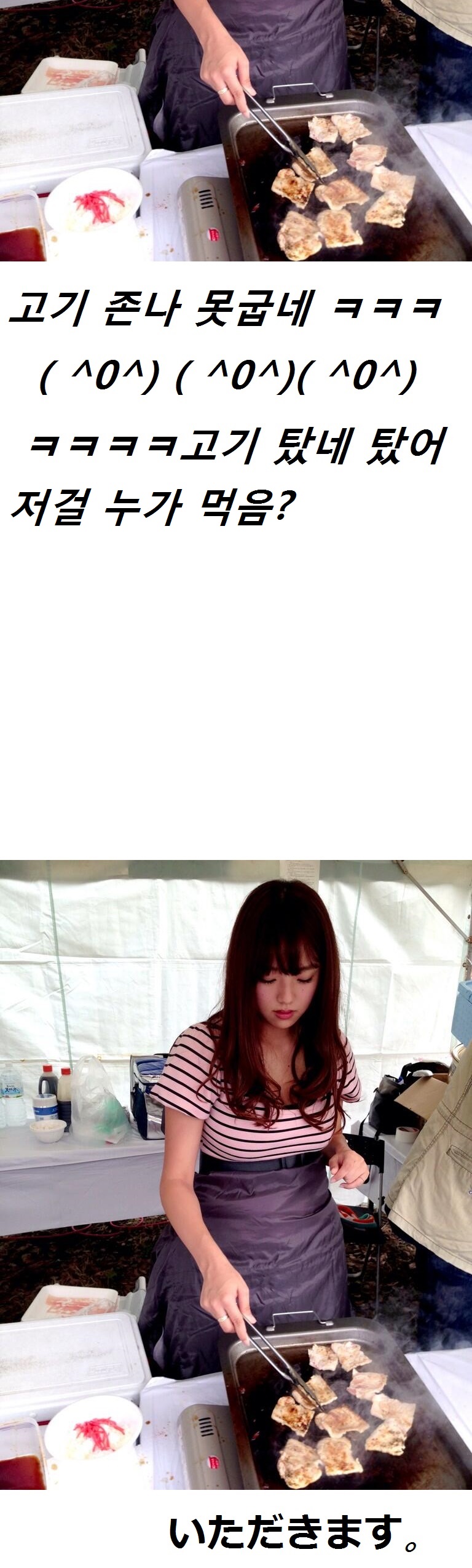 file3249448_72843.jpg
