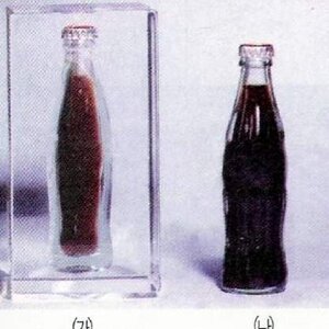 여러분이 몰랐던 진실!!