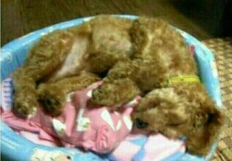 1초치킨.jpg