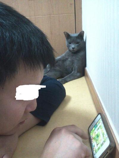 에휴 병신아....jpg