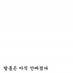 이빨빠진사자