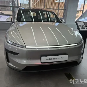 모델 YL 어떰(부제 : 테슬람 있음?)